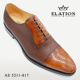 AE 5211-817