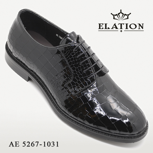 AE 5267-1031
